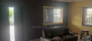 Professional Painter