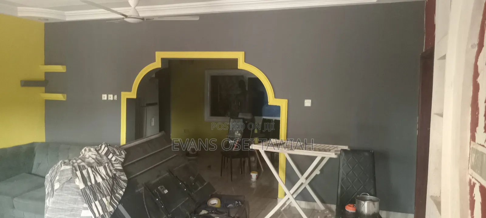Professional Painter