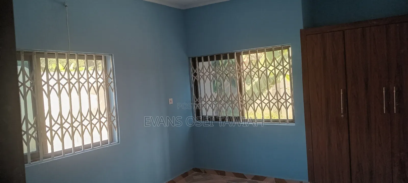 Professional Painter