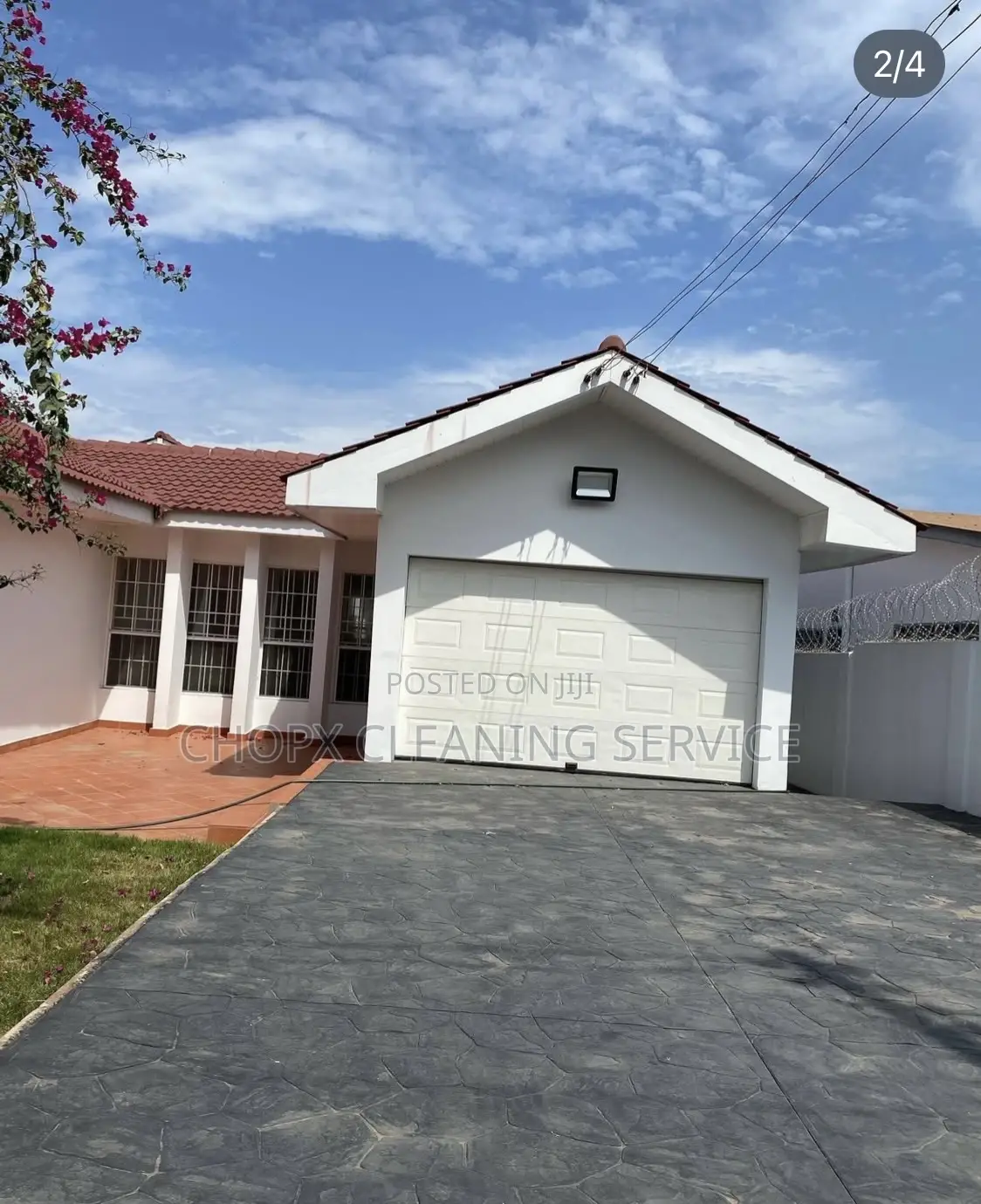 Cleaning, Window Tiles and Mobbing