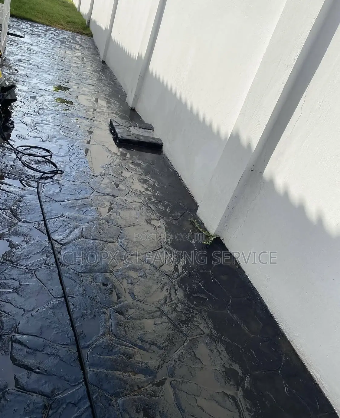 Cleaning, Window Tiles and Mobbing