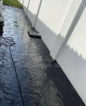 Cleaning, Window Tiles and Mobbing