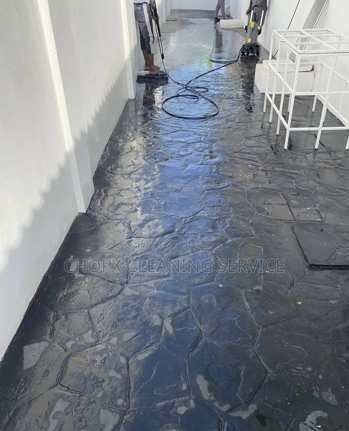 Cleaning, Window Tiles and Mobbing