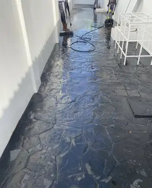Cleaning, Window Tiles and Mobbing