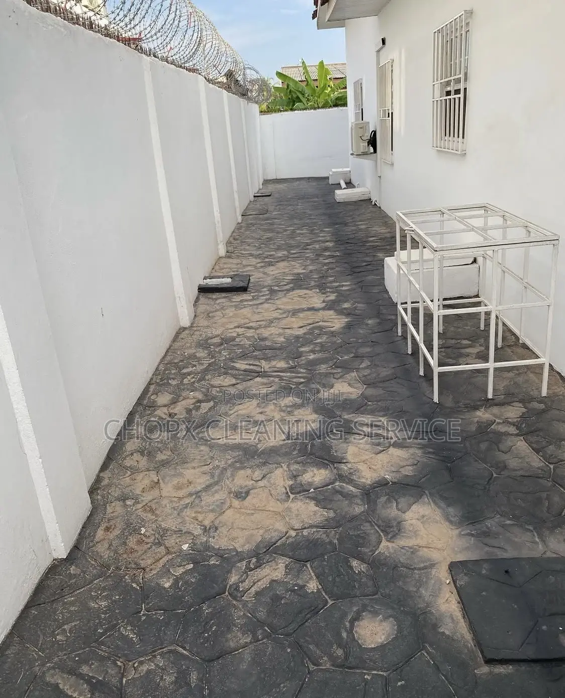 Cleaning, Window Tiles and Mobbing