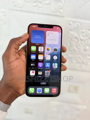 Apple iPhone 12 Pro Max 256 GB Gold