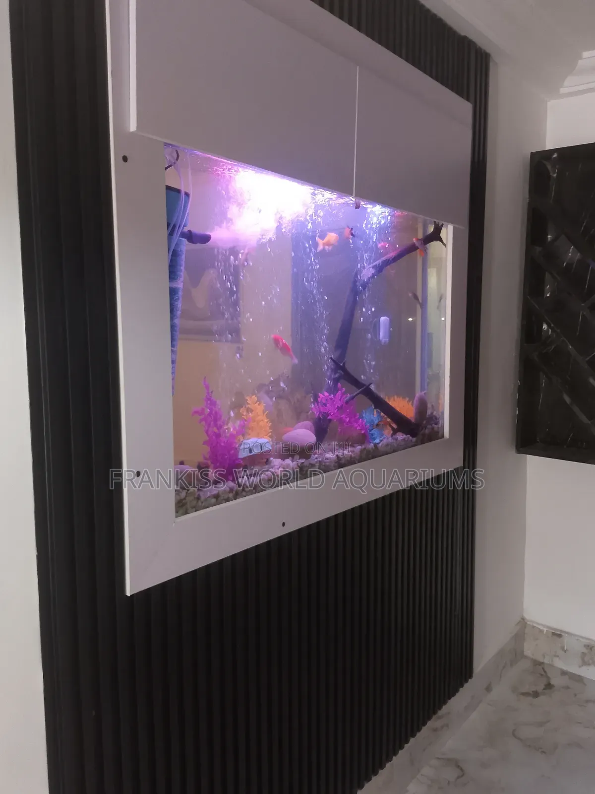 Wall Unit Aquarium