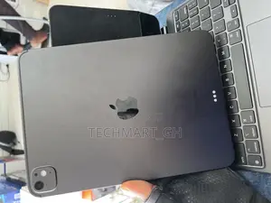 Apple iPad Pro 11 (2024) 256 GB Gray