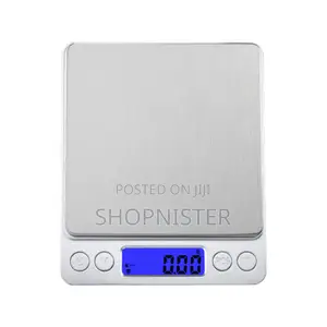 Mini Electronic Pocket Scale