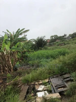 Titled Two and Half Plot at Sakumono Estates