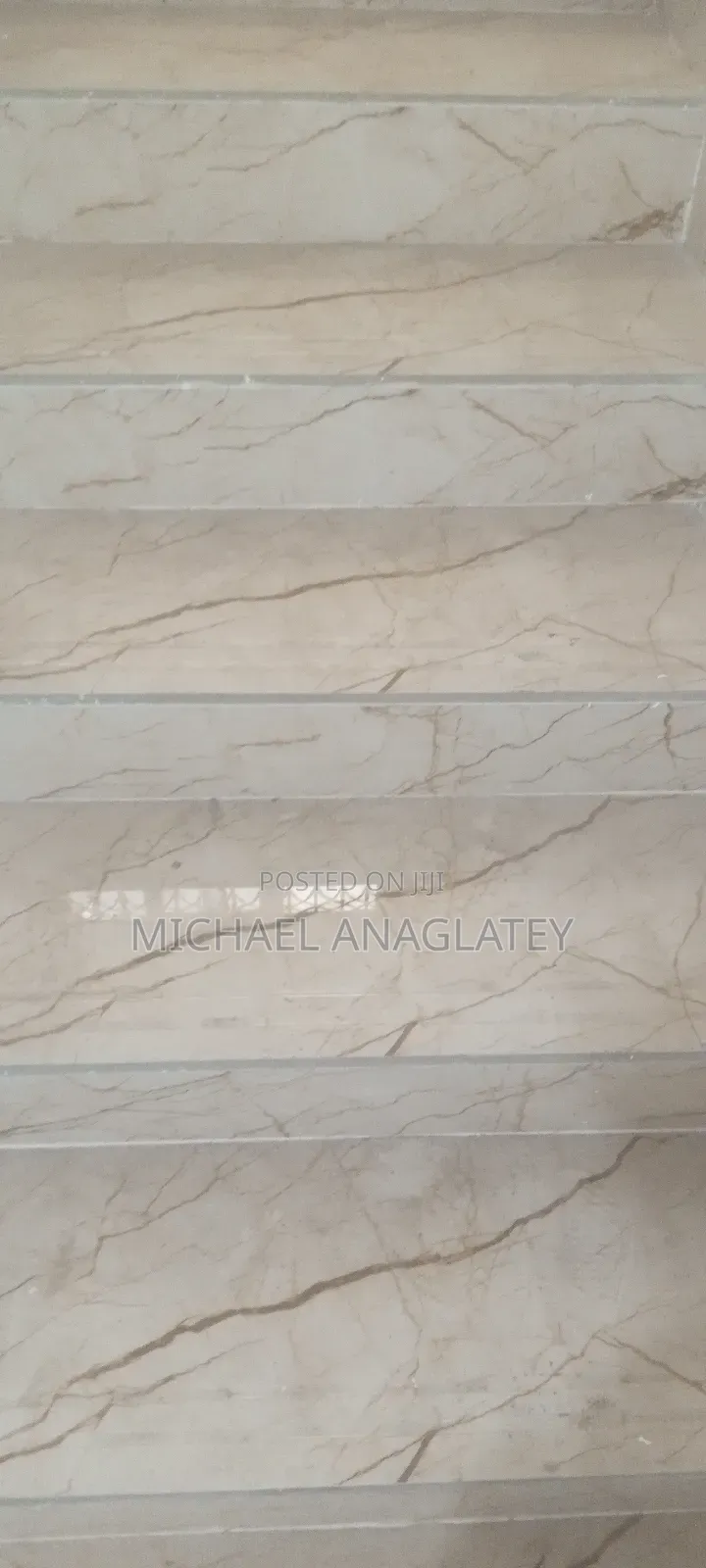 Professional Tile Layer