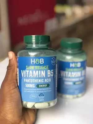 Holland Barrett S. Release B5+Panthothenic Acid 500mg 120s