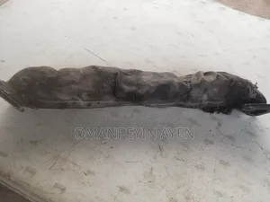 Exhaust Cross Bar Range Rover Sport 3.0l Tdv6 Diesel