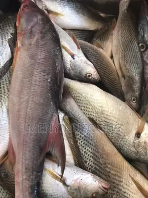 Fresh Cassava Fish in Accra - Wholesale Retail
