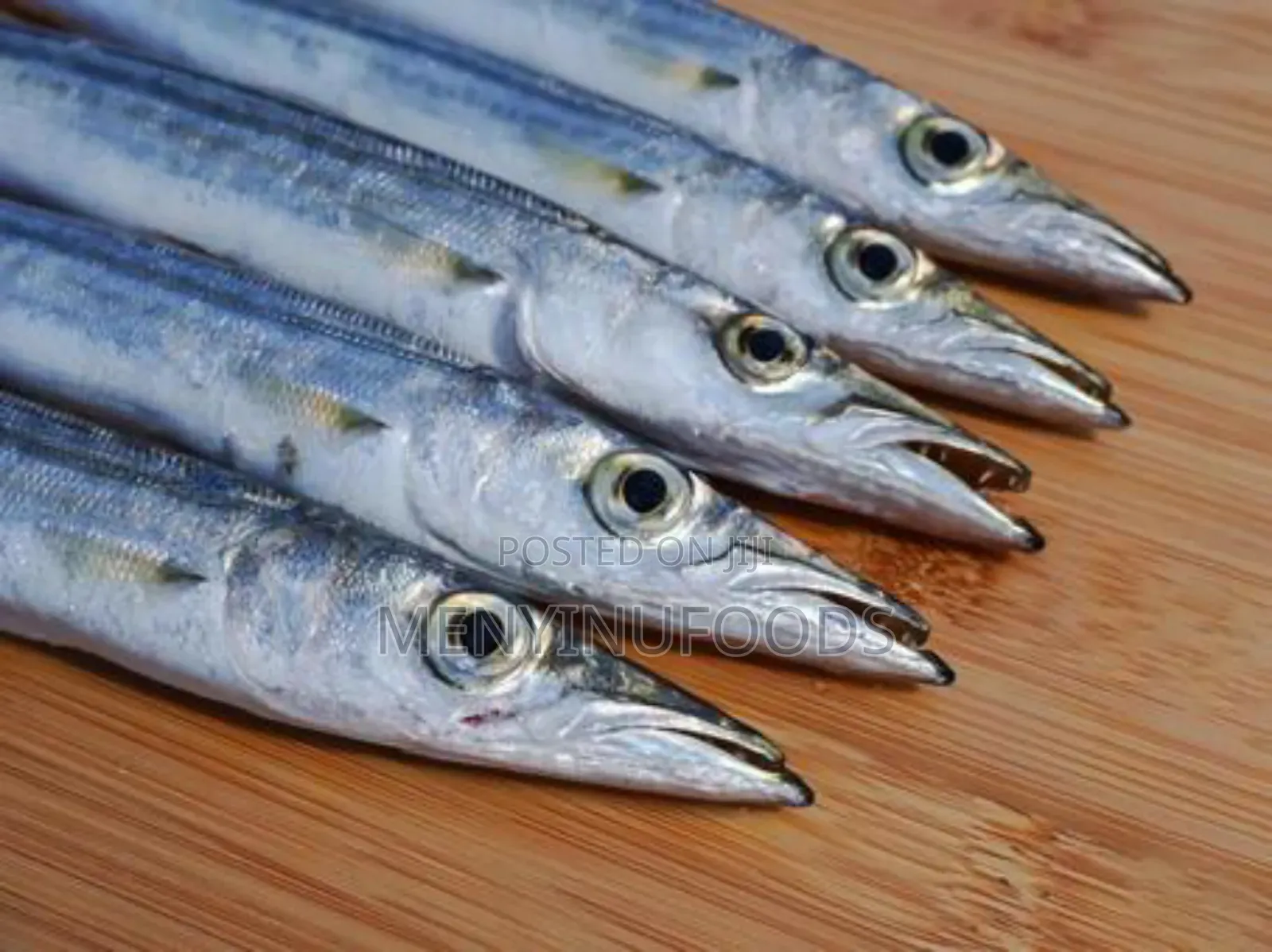 Fresh Barracuda Fish in Accra | Wholesale Retail