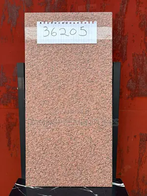 Porcelain Facial Tiles