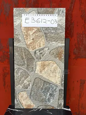 Porcelain Facial Tiles