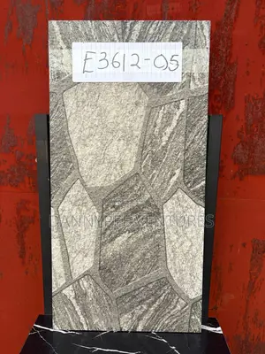 Porcelain Facial Tiles