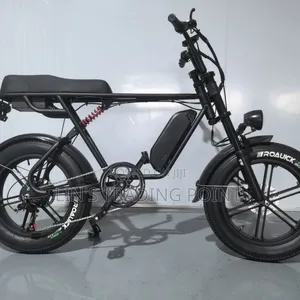 Alloy Wheels Electric Bike for Delivery Business