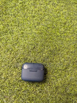 Original Microdigit Earbuds