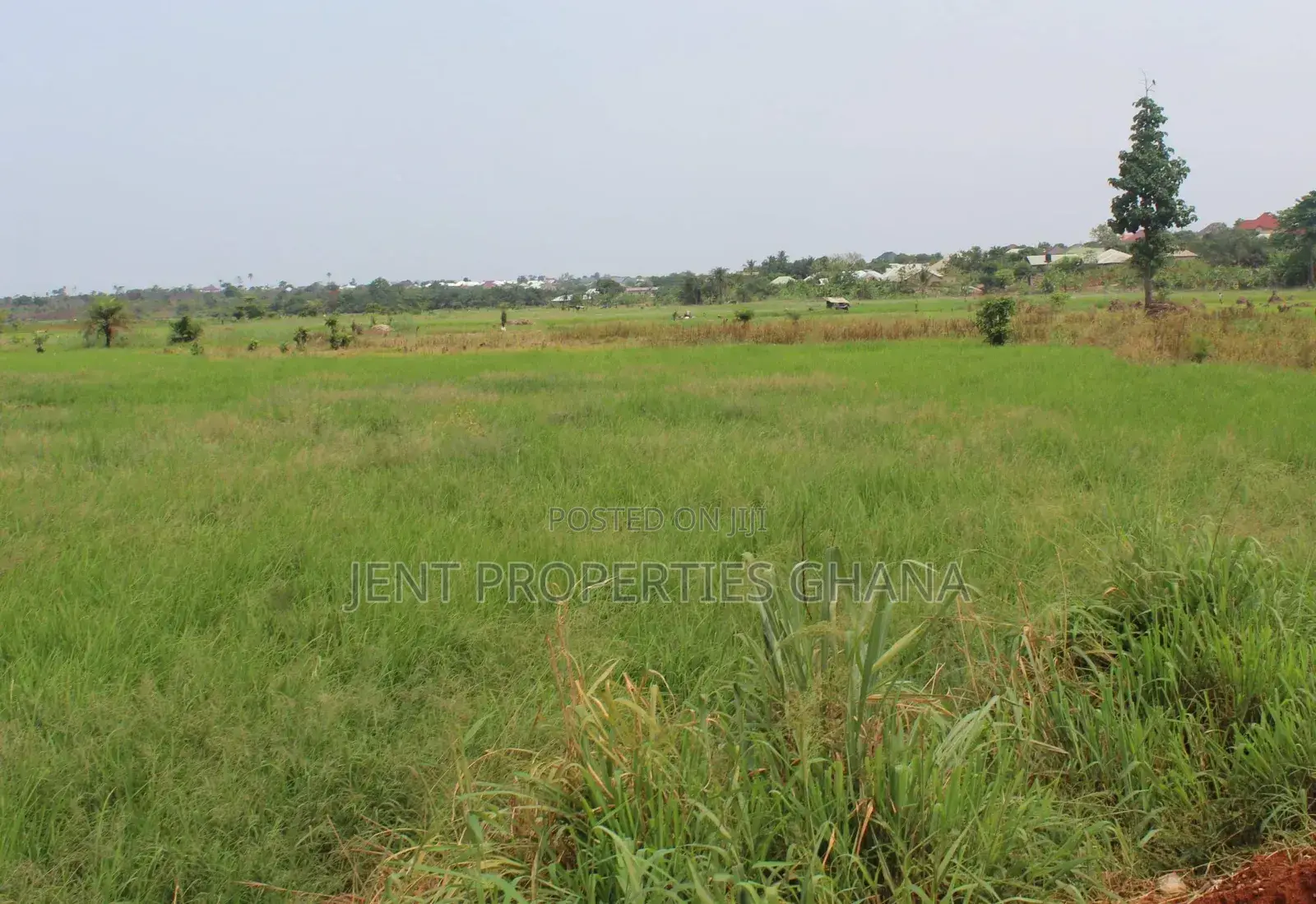 30 ,000 Acres of Vast Commercial Lands for Sale at Juapong