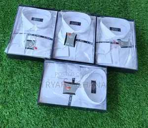 Shop Pure White Classy Professional Dinner Shirts at Tryahu