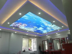 P. O. P Ceiling Decorations And Installation