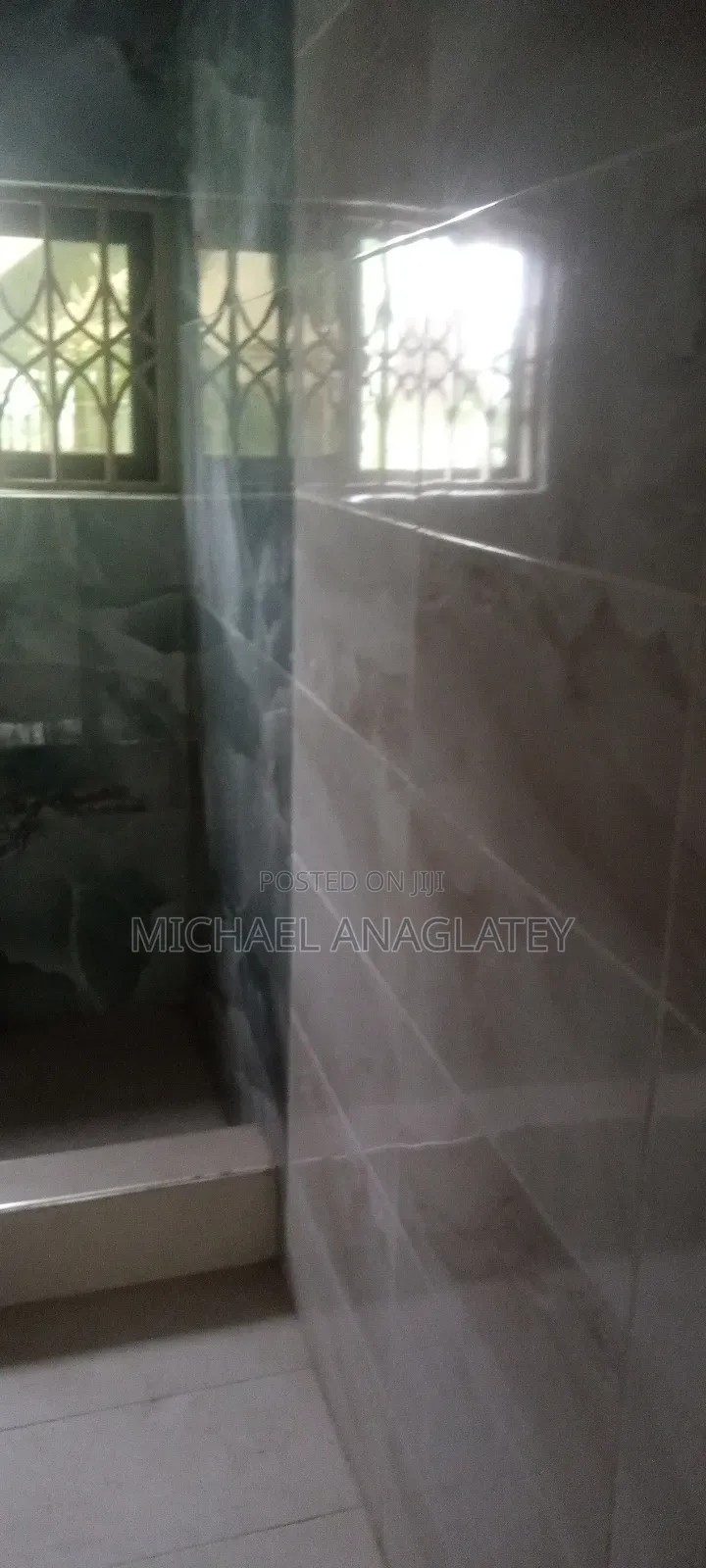 Professional Tile Layer