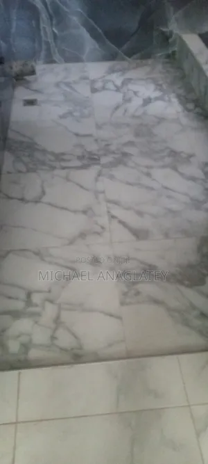 Professional Tile Layer