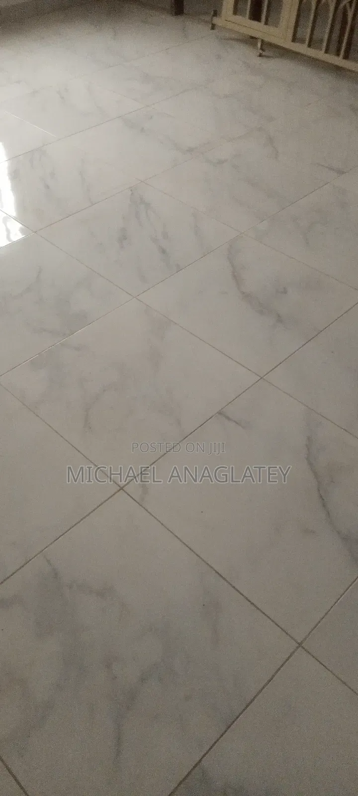 Professional Tile Layer