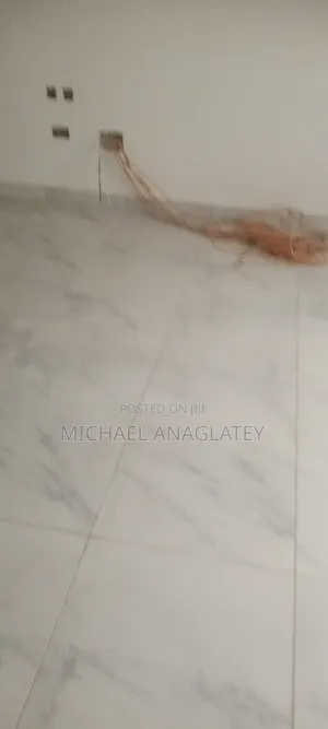 Professional Tile Layer