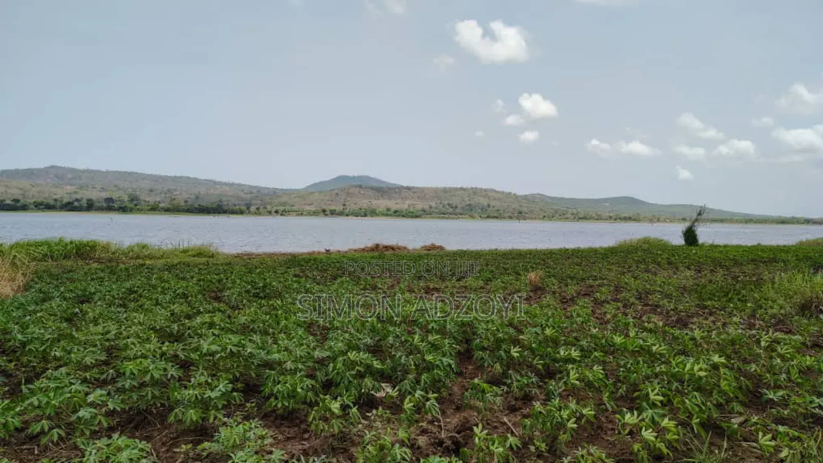 50 Acres River Front Land for Rent