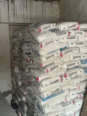 Rigips Skimming Powder