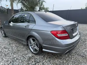 Mercedes-Benz C250 2014 Gray
