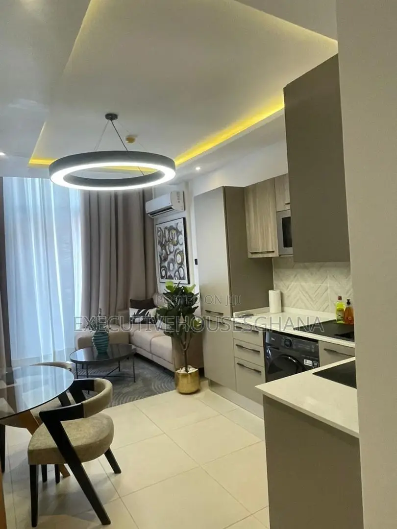 Furnished 1bdrm Apartment in East Legon for sale
