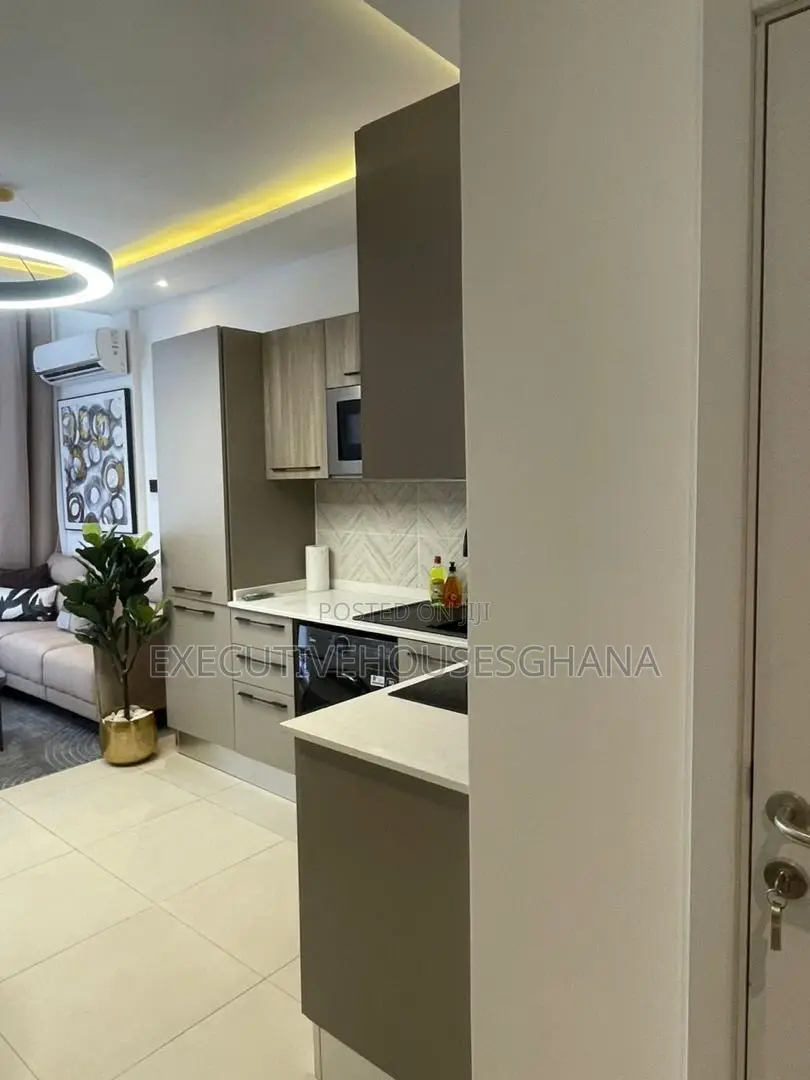 Furnished 1bdrm Apartment in East Legon for sale