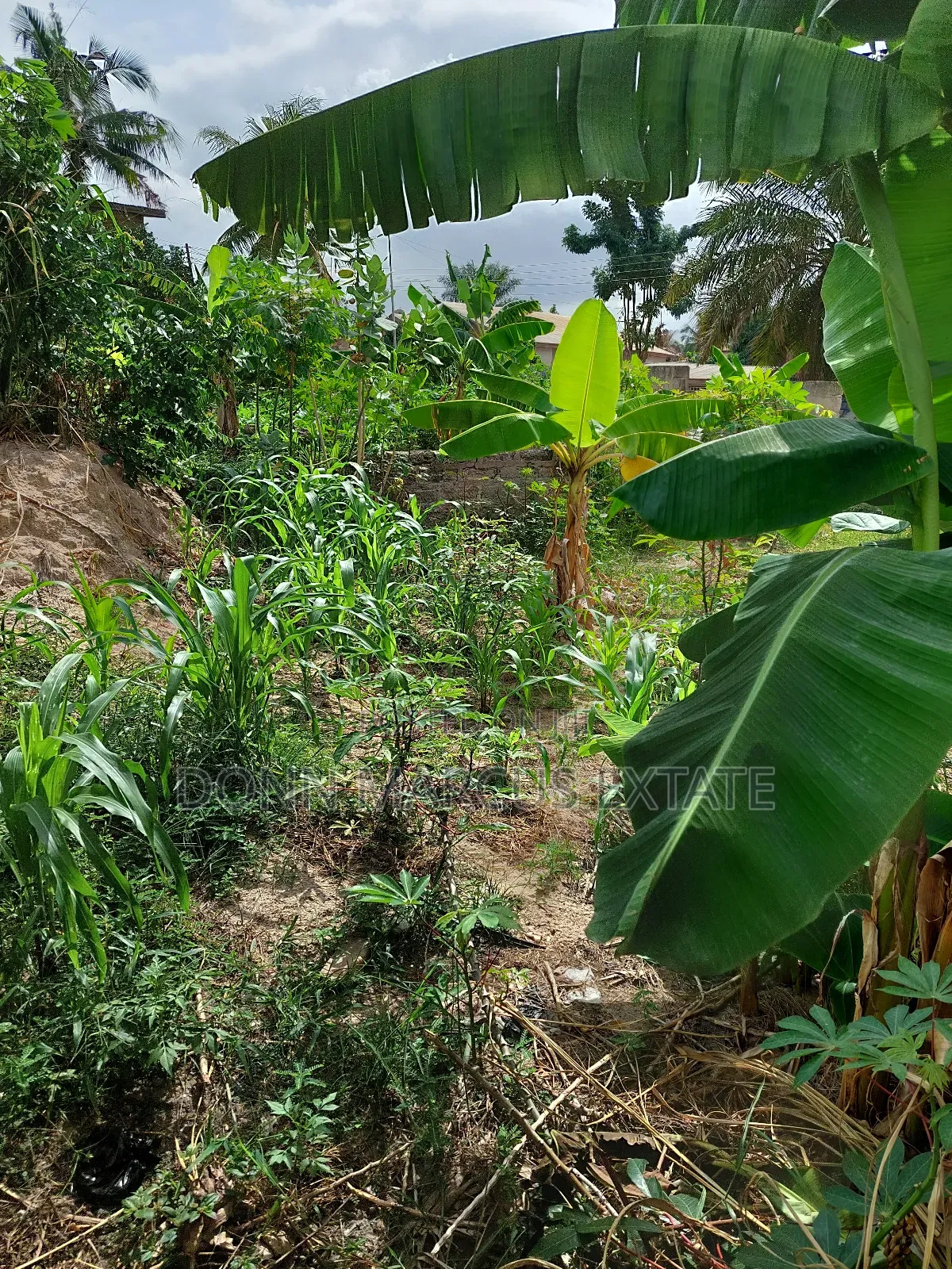 Plot for Sale