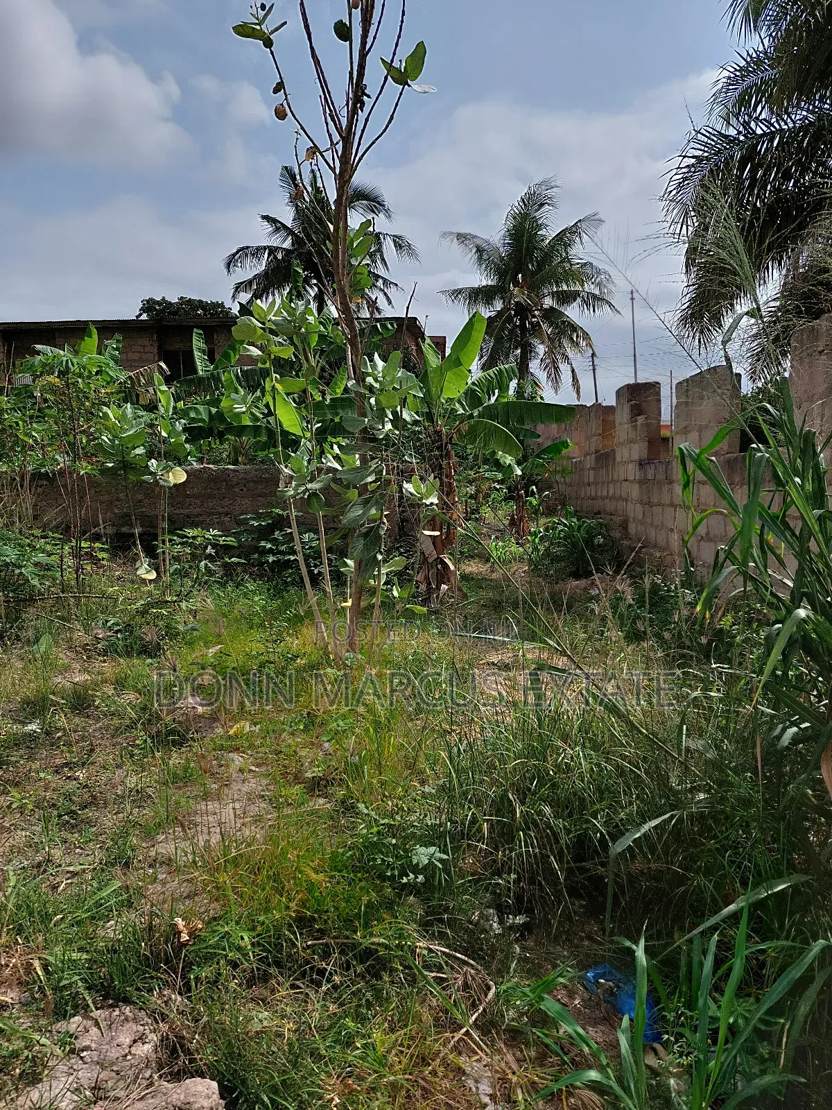 Plot for Sale