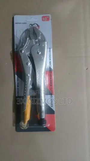 10" Locking Pliers.