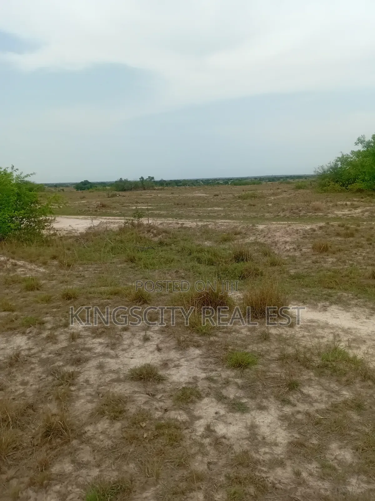 Productive Land for Sale at Tsopoli