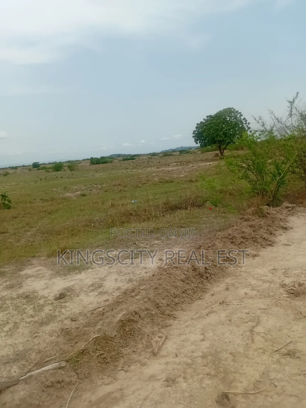 Plots for Sale at Tsopoli