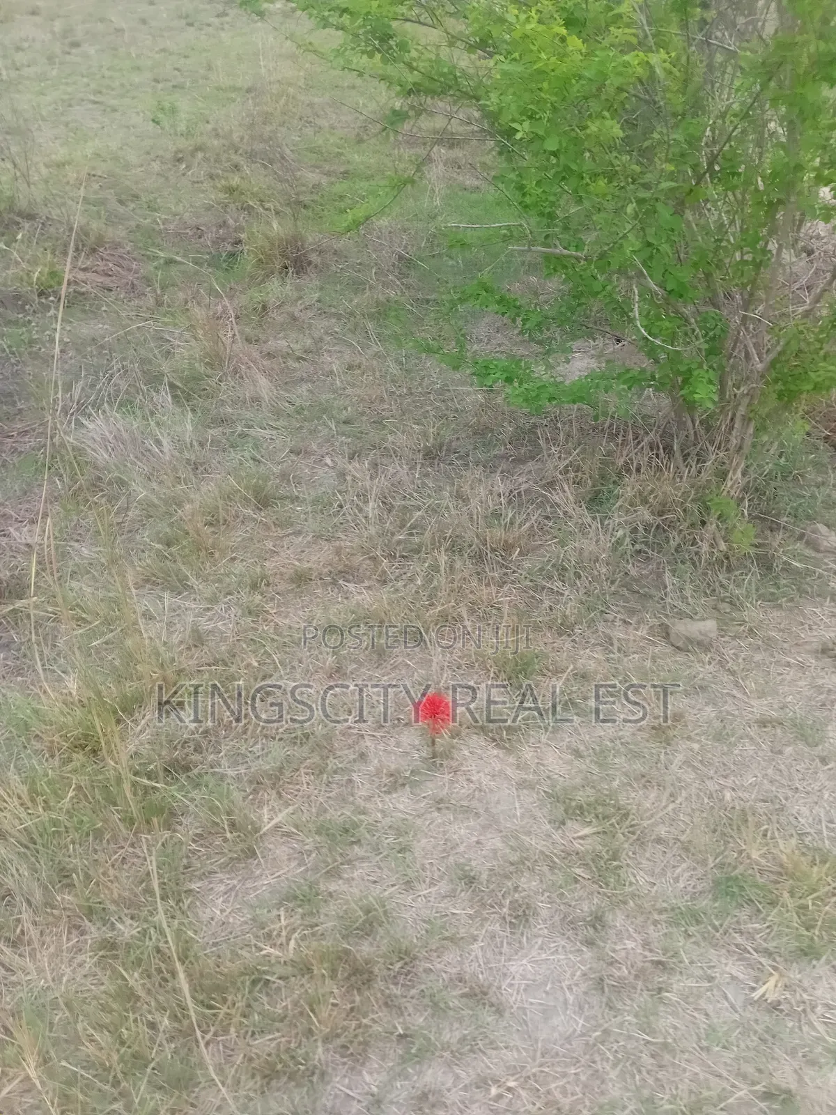 Serene Environment Land for Sale at Tsopoli