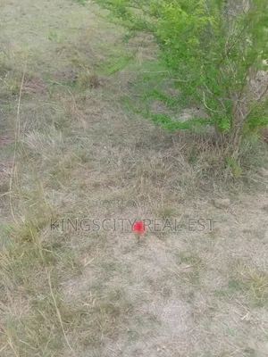 Serene Environment Land for Sale at Tsopoli
