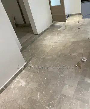 Cleaning Tiles and Window