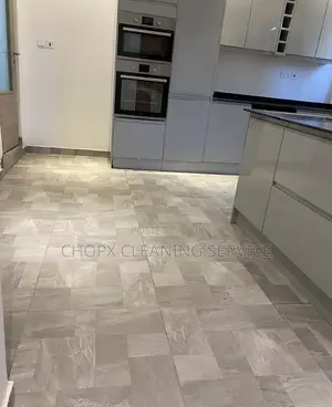 Cleaning Tiles and Window