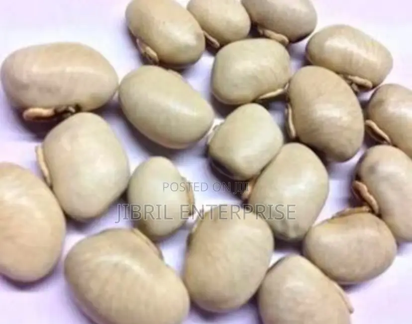 White Mucuna Pruriens, White Velvet Beans