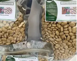 White Mucuna Pruriens, White Velvet Beans