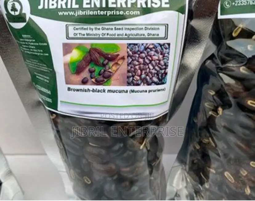 Brownish-Black Mucuna Pruriens, Velvet Beans