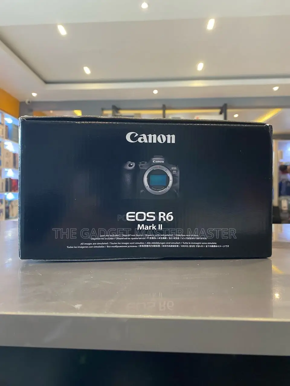 Canon Eos R6 Mark Ii Mirrorless Camera