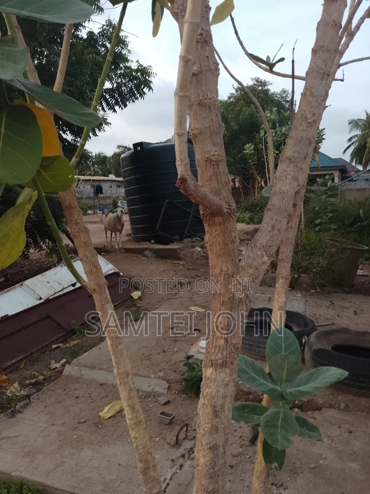 6bdrm Apartment in Sinco Properties, Ashaley Botwe for sale